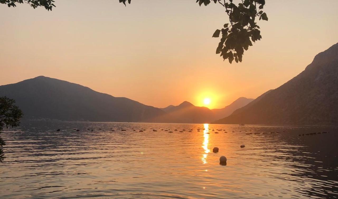 Vacanza, Sea View Kotor Dış mekan fotoğraf